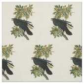 Audubon Raven Bird Classic Artwork Stof (Swatch)