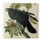 Audubon Raven Bird Classic Artwork Tegeltje (Voorkant)