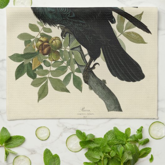 Audubon Raven Bird Classic Artwork Theedoek (Gevouwen)