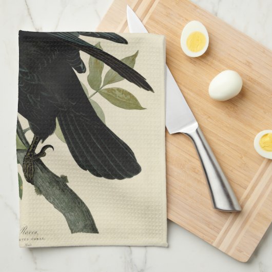 Audubon Raven Bird Classic Artwork Theedoek (Quarter Fold)