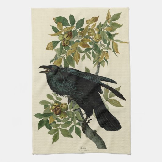 Audubon Raven Bird Classic Artwork Theedoek (Verticaal)