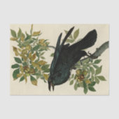 Audubon Raven Bird Classic Artwork Tissuepapier (Voorkant)