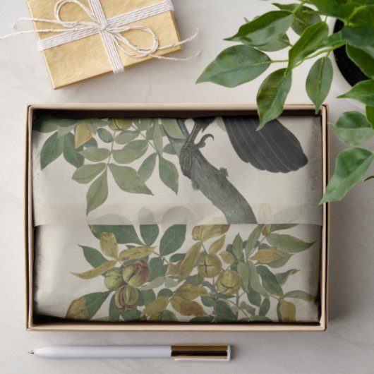 Audubon Raven Bird Classic Artwork Tissuepapier (Geschenk)