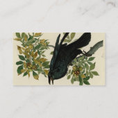 Audubon Raven Bird Classic Artwork Visitekaartje (Achterkant)