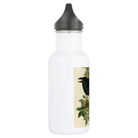 Audubon Raven Bird Classic Artwork Waterfles (Links)
