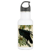 Audubon Raven Bird Classic Artwork Waterfles (Voorkant)