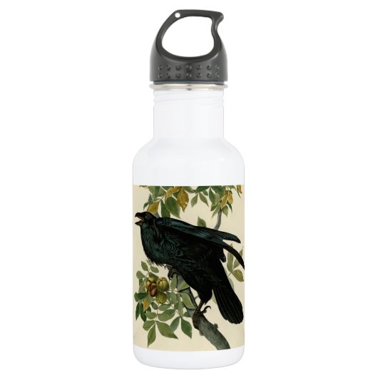 Audubon Raven Bird Classic Artwork Waterfles (Voorkant)