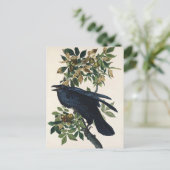 Audubon Raven Bird Classic Painting Briefkaart (Staand voorkant)