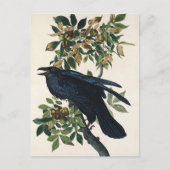 Audubon Raven Bird Classic Painting Briefkaart (Voorkant)
