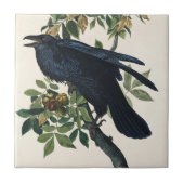 Audubon Raven Bird Classic Painting Tegeltje (Voorkant)