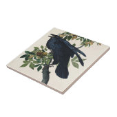 Audubon Raven Bird Classic Painting Tegeltje (Zijkant)
