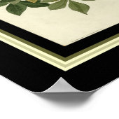 Audubon Raven Print 16x20 (Hoek)