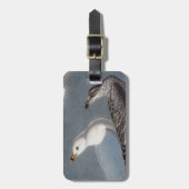 Audubon: Ring-buikmeeuw Bagagelabel (Voorkant verticaal)