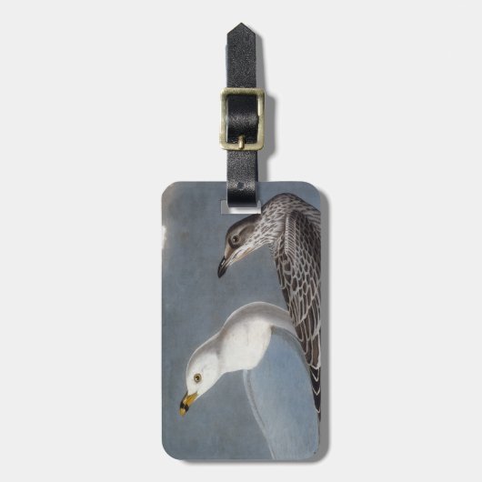 Audubon: Ring-buikmeeuw Bagagelabel (Voorkant verticaal)
