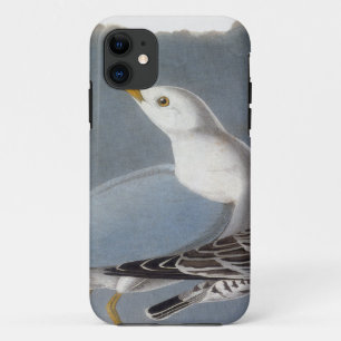 Audubon: Ring-buikmeeuw Case-Mate iPhone Case