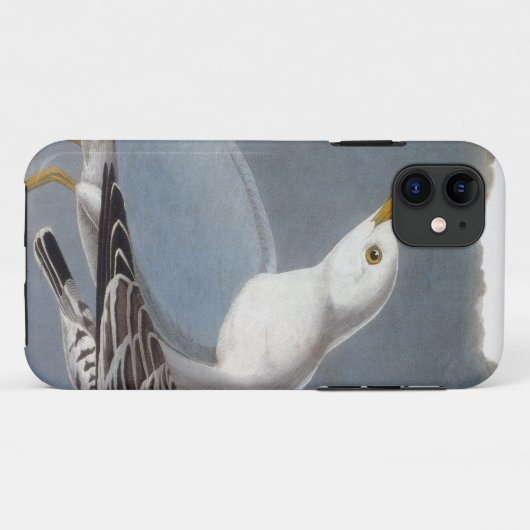 Audubon: Ring-buikmeeuw Case-Mate iPhone Case (Achterkant (horizontaal))
