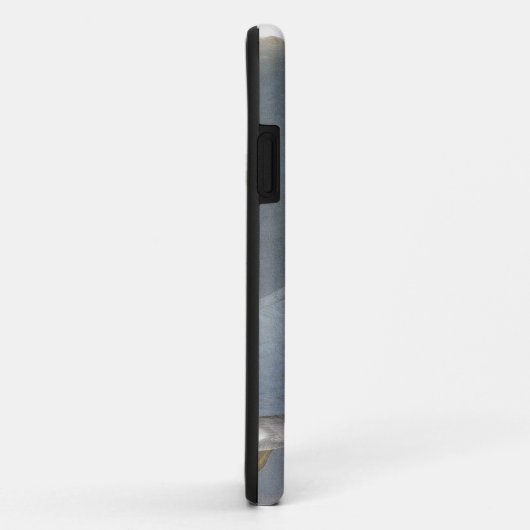 Audubon: Ring-buikmeeuw Case-Mate iPhone Case (Achterkant/rechts)