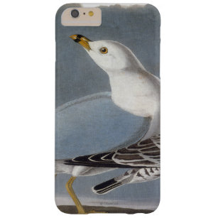 Audubon: Ring-buikmeeuw Barely There iPhone 6 Plus Hoesje