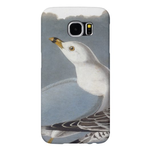 Audubon: Ring-buikmeeuw Case-Mate Samsung Galaxy Hoesje (Achterkant)