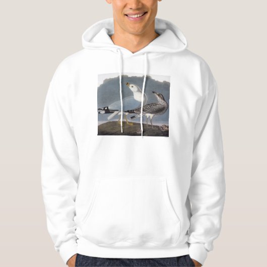 Audubon: Ring-buikmeeuw Hoodie (Voorkant)