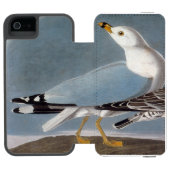 Audubon: Ring-buikmeeuw Incipio iPhone Portemonnee Hoesje (Agenda Open)