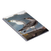 Audubon: Ring-buikmeeuw Notitieboek (Rechterzijde)