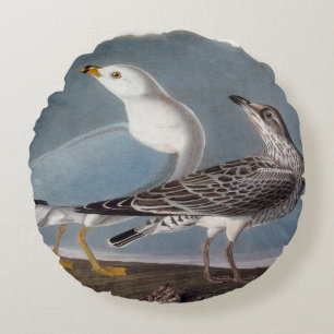 Audubon: Ring-buikmeeuw Rond Kussen