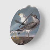 Audubon: Ring-buikmeeuw Ronde Klok (Hoek)