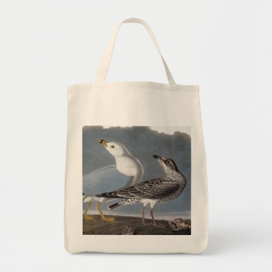 Audubon: Ring-buikmeeuw Tote Bag (Voorkant)