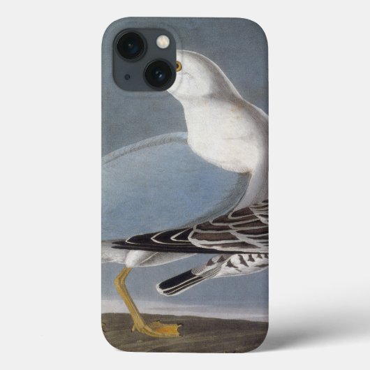 Audubon: Ringbuikmeeuw Case-Mate iPhone Case (Achterkant)