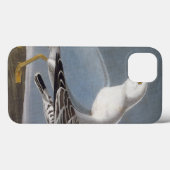 Audubon: Ringbuikmeeuw Case-Mate iPhone Case (Achterkant (horizontaal))