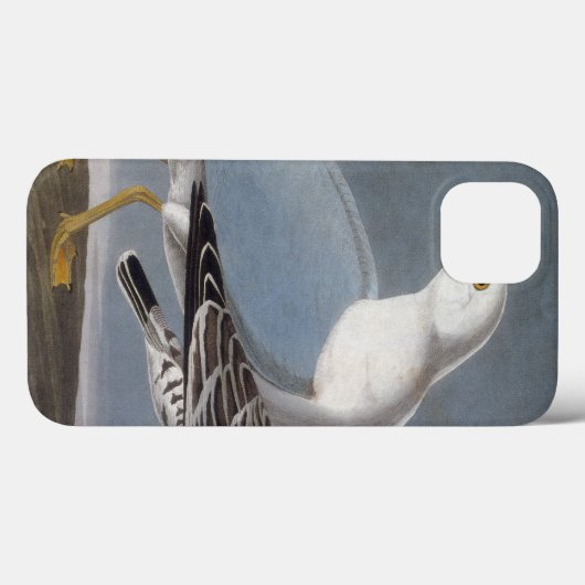 Audubon: Ringbuikmeeuw Case-Mate iPhone Case (Achterkant (horizontaal))