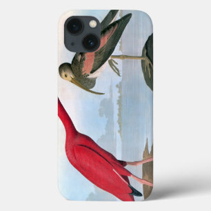 Audubon: Rode Ibis iPhone 13 Hoesje