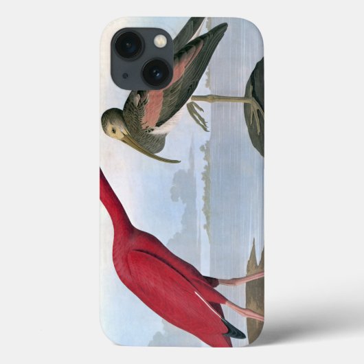 Audubon: Rode Ibis Case-Mate iPhone Case (Achterkant)