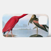 Audubon: Rode Ibis Case-Mate iPhone Case (Achterkant (horizontaal))