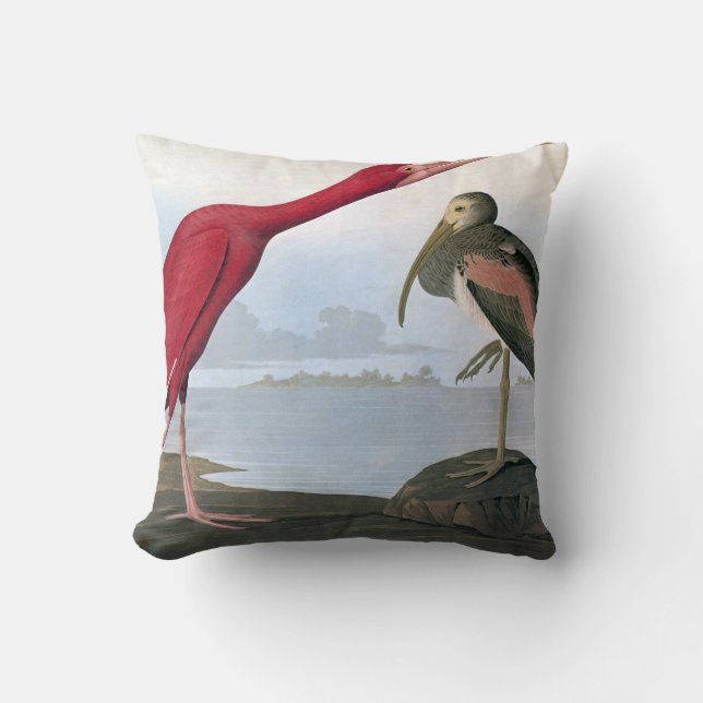 Audubon: Rode Ibis Kussen (Voorkant)