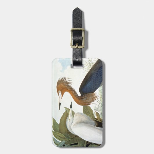 Audubon: Roodbaarzen en Paarse haron Bagagelabel (Voorkant verticaal)