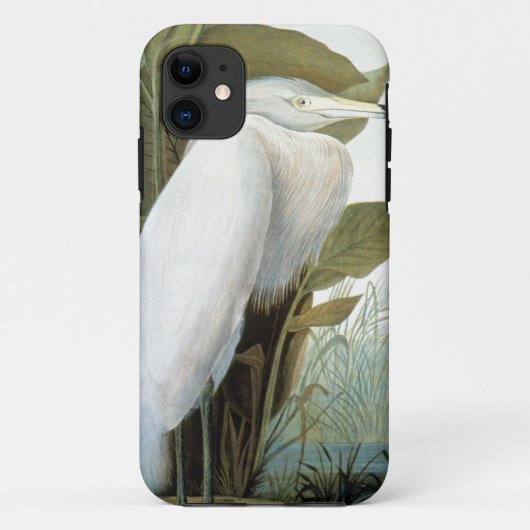 Audubon: Roodbaarzen en Paarse haron Case-Mate iPhone Case (Achterkant)