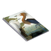 Audubon: Roodbaarzen en Paarse haron Notitieboek (Rechterzijde)