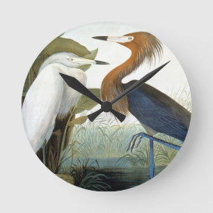 Audubon: Roodbaarzen en Paarse haron Ronde Klok