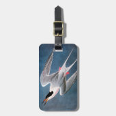 Audubon: Roseate Tern Bagagelabel (Voorkant verticaal)