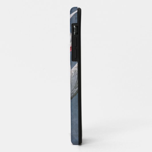 Audubon: Roseate Tern Case-Mate iPhone Case (Achterkant/links)
