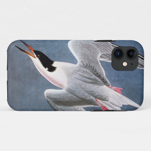 Audubon: Roseate Tern Case-Mate iPhone Case (Achterkant (horizontaal))