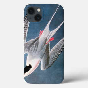 Audubon: Roseate Tern iPhone 13 Hoesje