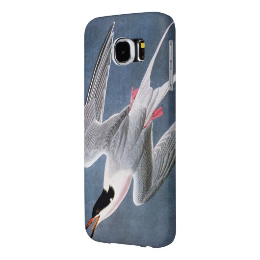 Audubon: Roseate Tern Case-Mate Samsung Galaxy Hoesje (Achterkant Links)