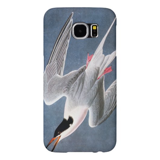 Audubon: Roseate Tern Case-Mate Samsung Galaxy Hoesje (Achterkant)