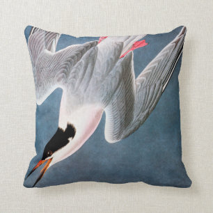 Audubon: Roseate Tern Kussen