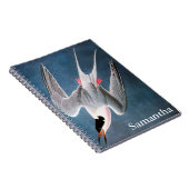 Audubon: Roseate Tern Notitieboek (Rechterzijde)