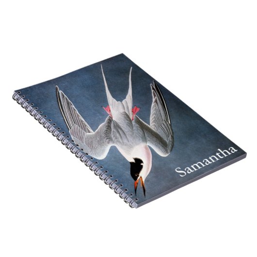 Audubon: Roseate Tern Notitieboek (Rechterzijde)