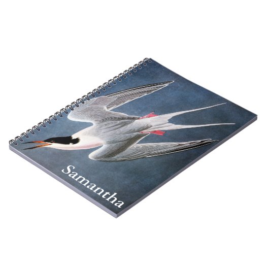 Audubon: Roseate Tern Notitieboek (Linkerzijde)